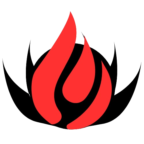 Chronexa Logo